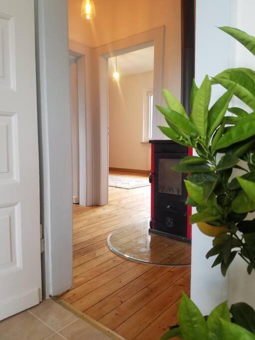 Ferienwohnung Alte-Schule-Kail Wohnung 2 Экстерьер фото