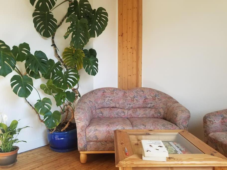 Ferienwohnung Alte-Schule-Kail Wohnung 2 Экстерьер фото
